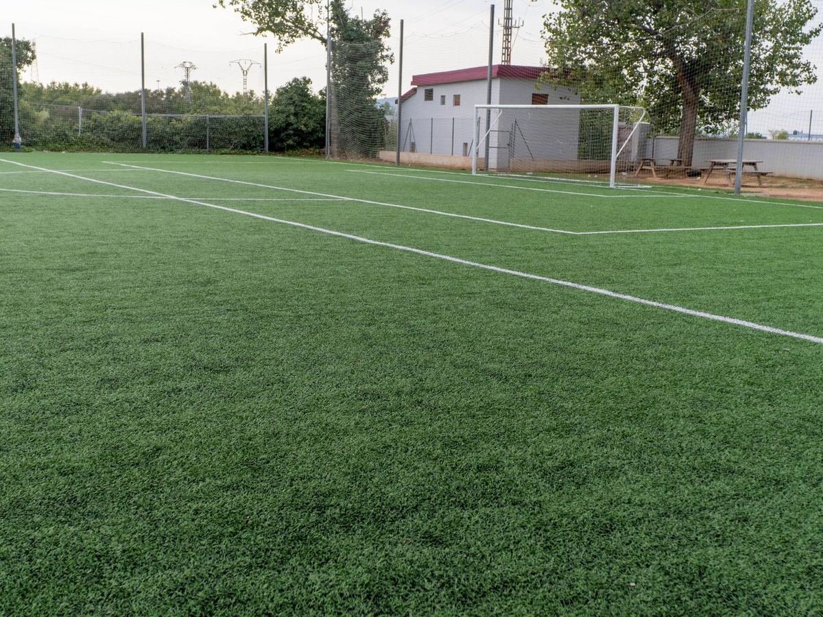 Vista general del terreno de juego con las líneas recién pintadas